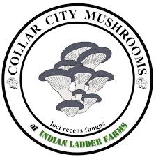 Collar City Mushrooms